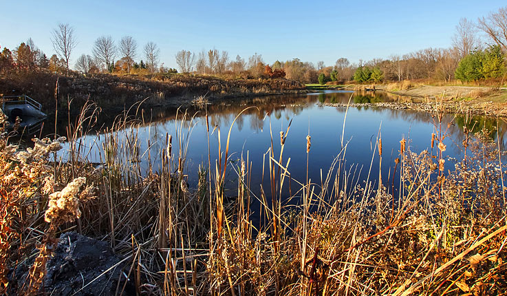 Environment Pond